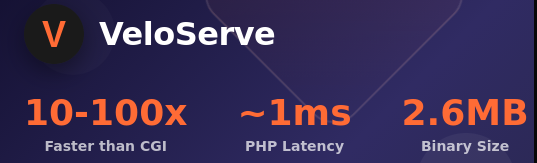 Meet VeloServe: Speed Redefined